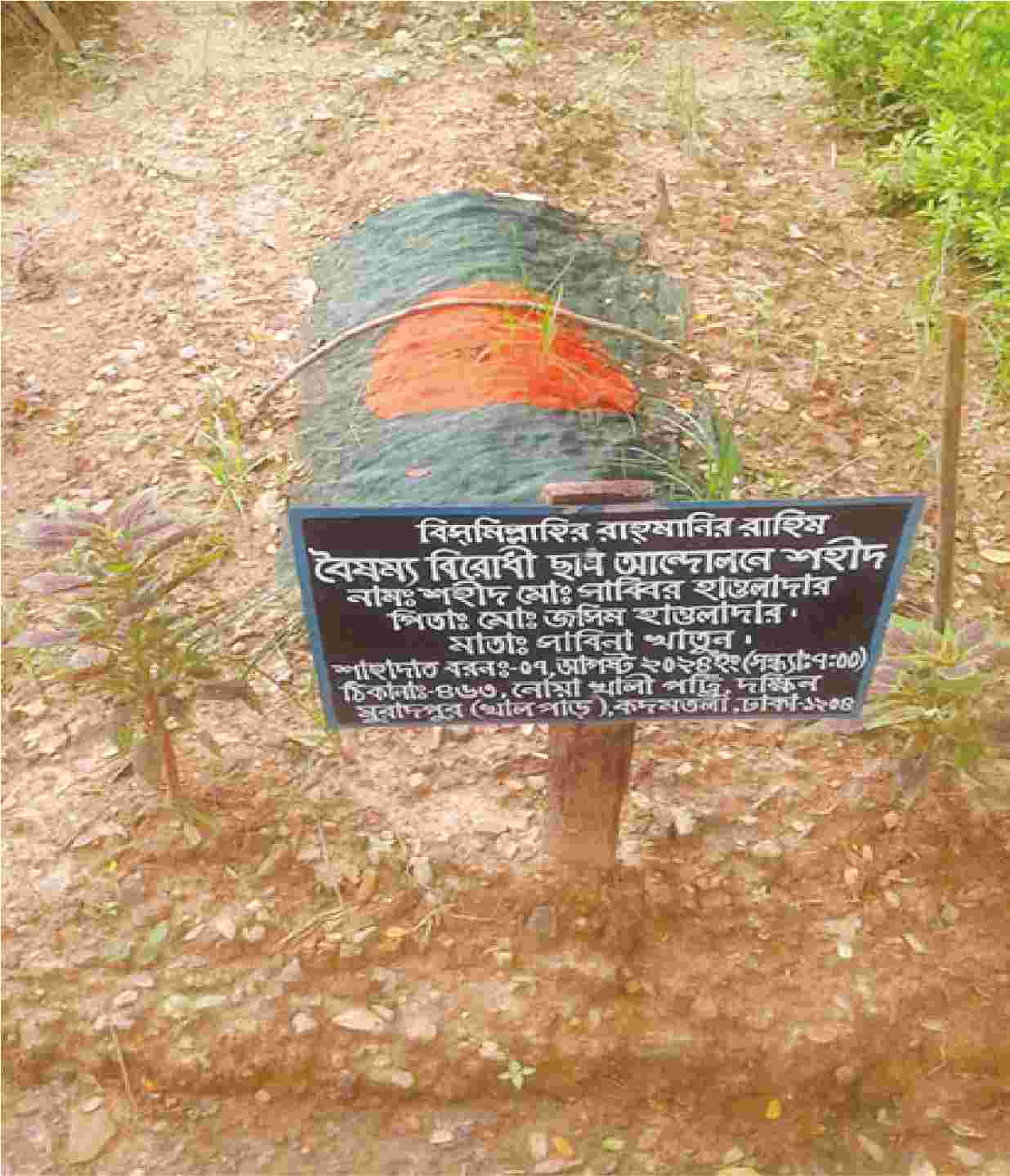 Image of মো: সাব্বির হাওলাদার